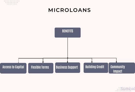 Understanding Microloans: Eligibility, Benefits, and How to Apply for Microloans