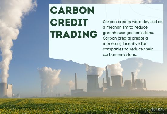 Carbon Credit Trading Markets: Challenges and Opportunities