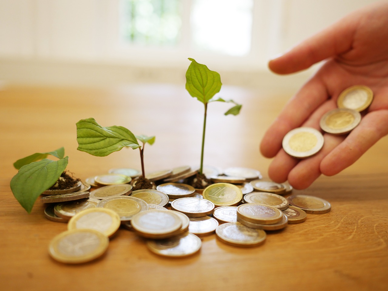 Compound interest: the password to unlock wealth growth