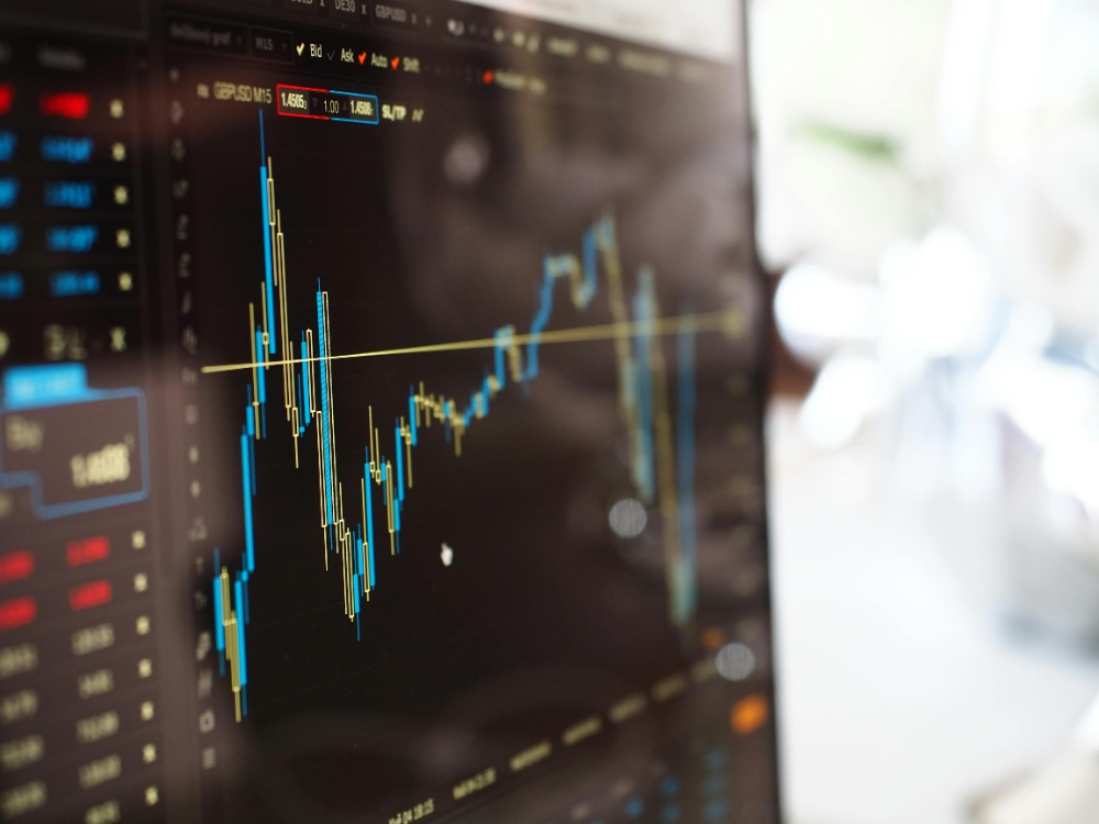 The response of the rich in the financial crisis