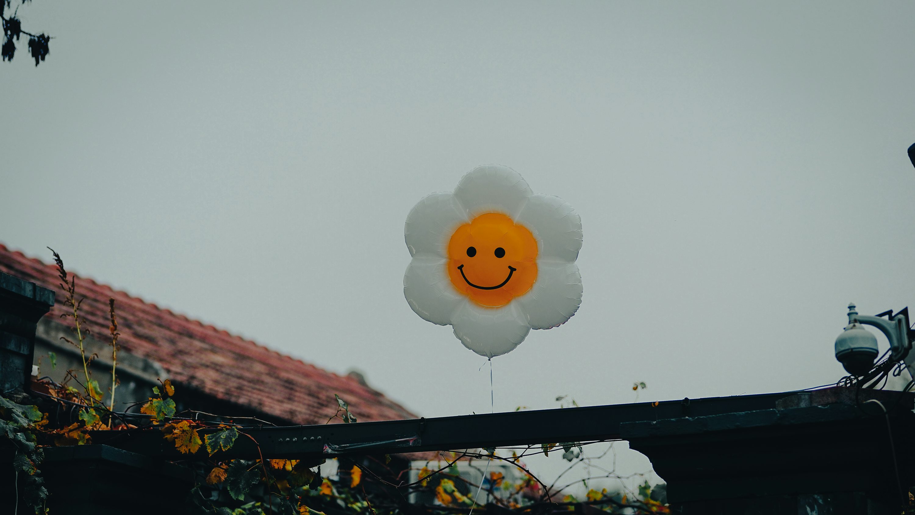 Financial Investment Psychology: Wealth Password under Mood Fluctuation
