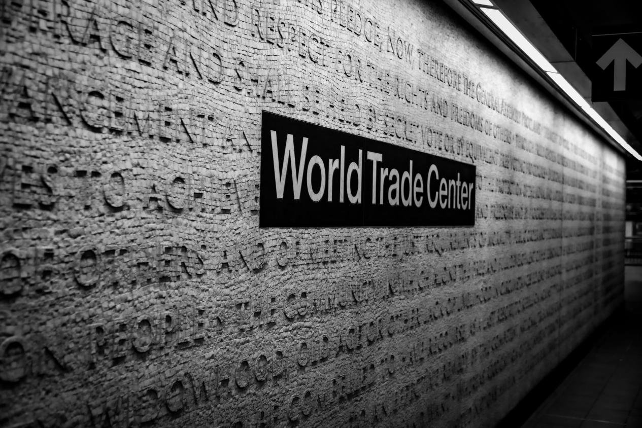 Global transnational investment with opportunities and challenges