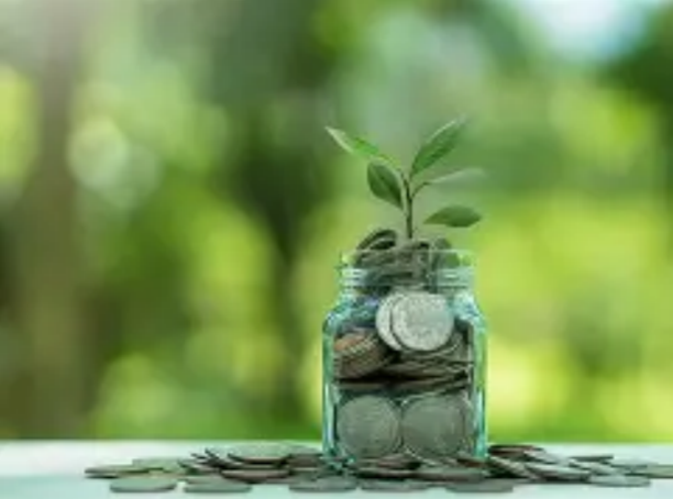 Rational Spending: The Hidden Wealth Competence